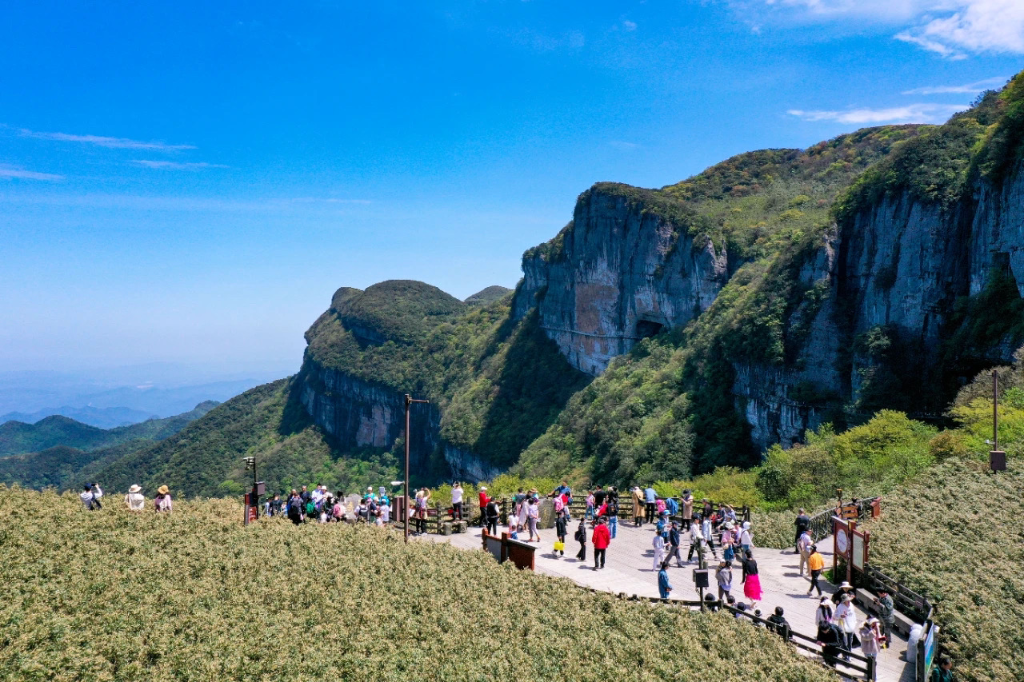 金佛山景區(qū)。景區(qū)供圖.png