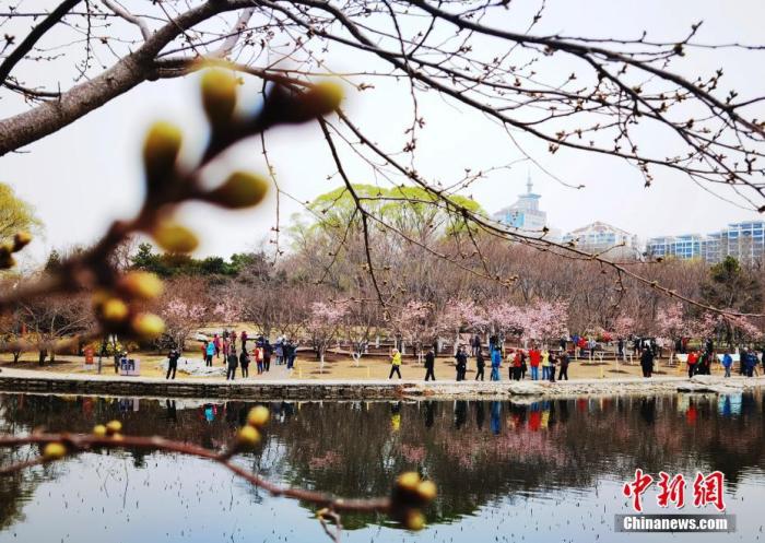 點(diǎn)擊進(jìn)入下一頁
