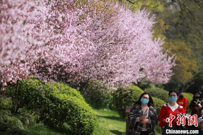 點(diǎn)擊進(jìn)入下一頁